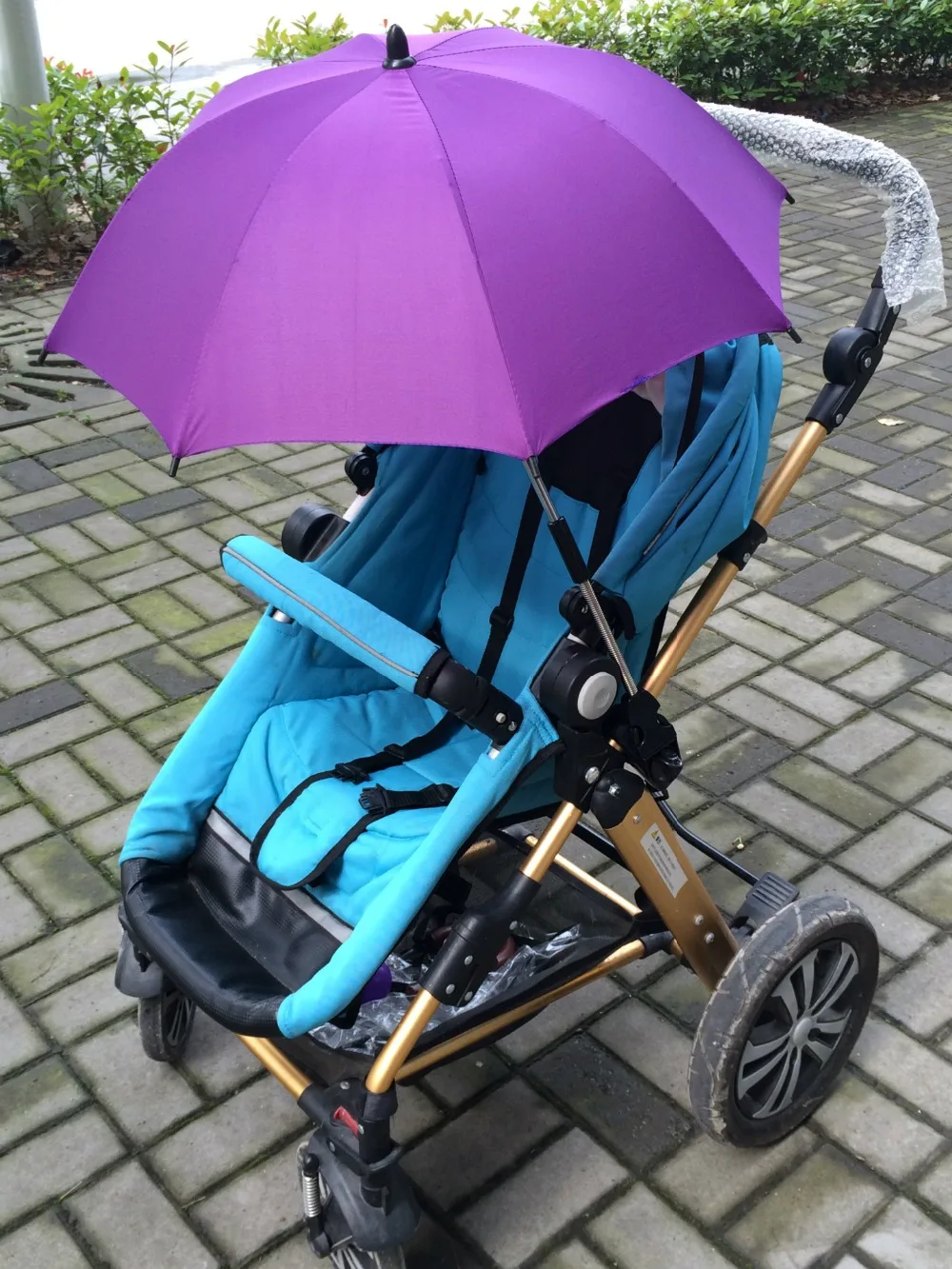 3095375674_356439696