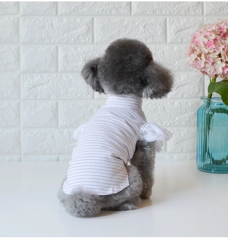 Dog-clothes-newest-spring-and-summer-dog-vests-pet-small-dog-clothes-dog-bottoming-tshirts-for(6)