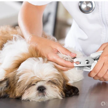 

Pet Dog Nail Clippers with Nail File LED Light Pet Cat Nail Trimmer Grooming Pet Supplies