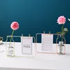 Nordic Hydroponic Glass Vase Wrought Iron Vase Photo Frame Decoration Table Flower Vases Decoration Home Metal Plant Holder 3