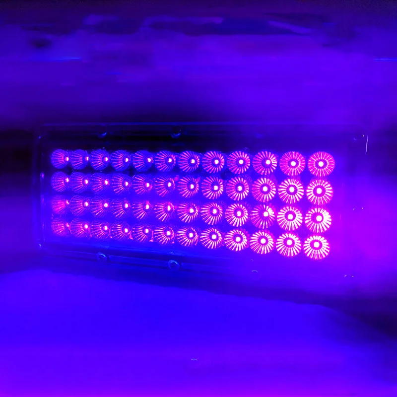 Portable UV Light Curing Machine 500W 220V 