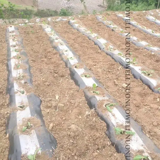 25 Méter Fehér-Fekete Kerti Film Mezőgazdaság Műanyag Gyomnövény Pe Fruit Tree Mulch Növények Borítják - Image 6