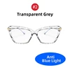 2 Transparent Grey