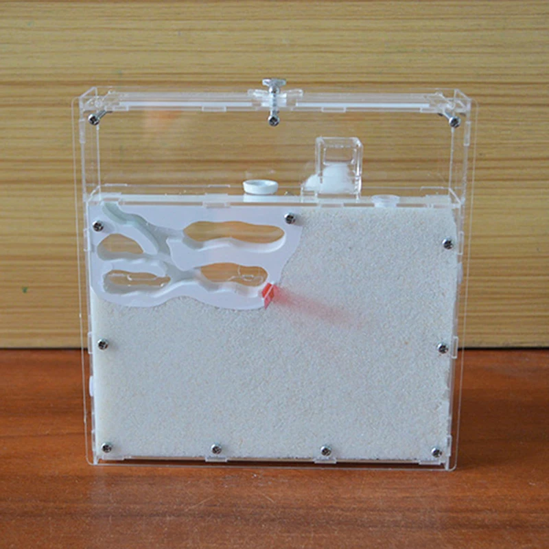 

Creative ant Sand Nest Pet Ant Farm Ecological Sand Nest Sand Castle Ant Colony Workshop
