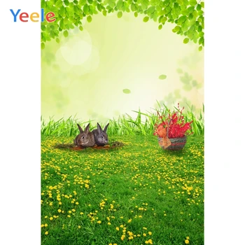 

Yeele Spring Scenery Backdrop Easter Egg Grassland Fairy Tale Forest Children Newborn Mushrooms Elves Flowers Photo Backgrounds