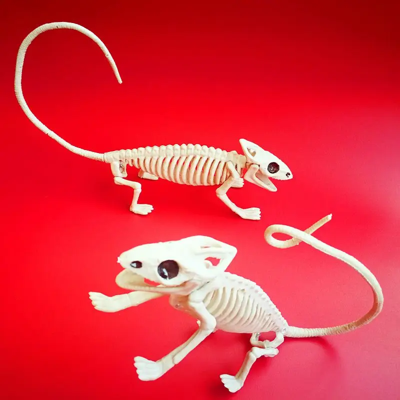 Модель скелета животных Летучая мышь/паук/Скорпион/ящерица кости декор для Хэллоуина, вечеринки tm