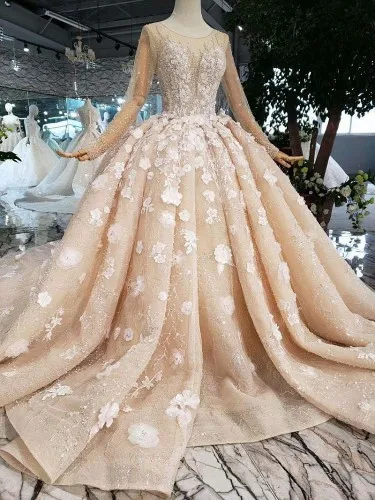 CloverBridal дорогой достойный слоновой кости Иллюзия с длинным рукавом длина пола камни жемчуг Цветы Роскошные свадебные платья - Цвет: light champagne