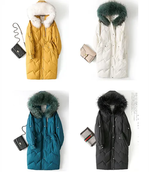 O1CN01iW4mWd1vsTFqSnQr2_!!2583236228