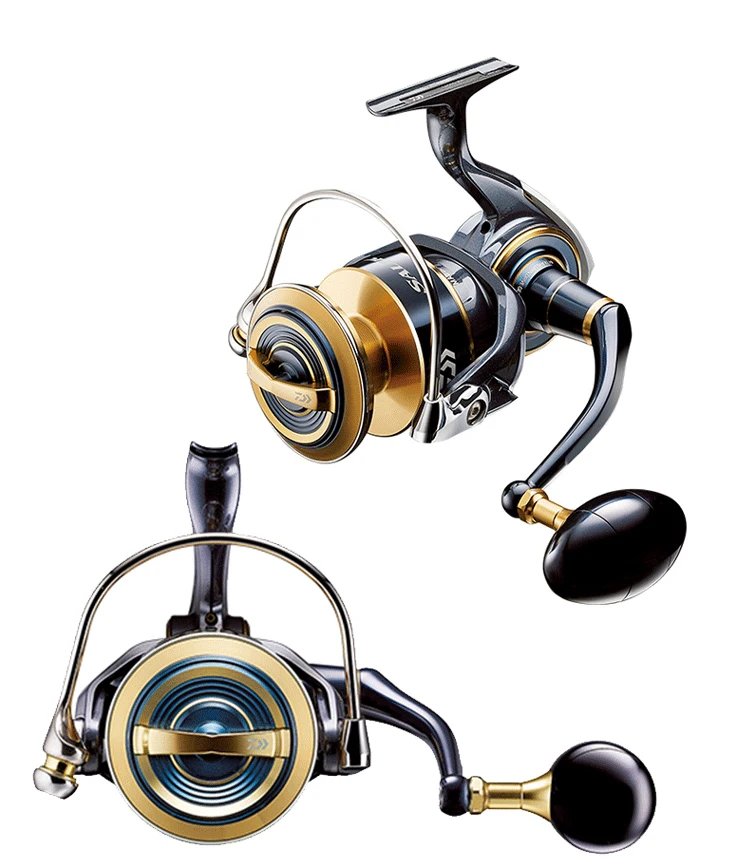 daiwa saltiga 8000