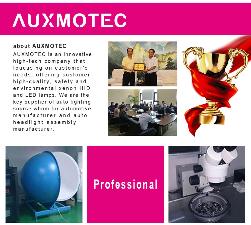 品牌新灯泡副本_10