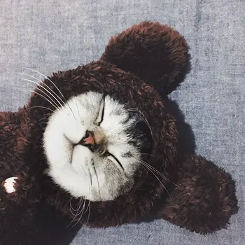 

Super Cute Funny Cat Clothes Keep Warm Coral Fleece Cat Clothes Thick Pet Puppy Coat Jacket Small Medium Dogs Plush Cats Costume