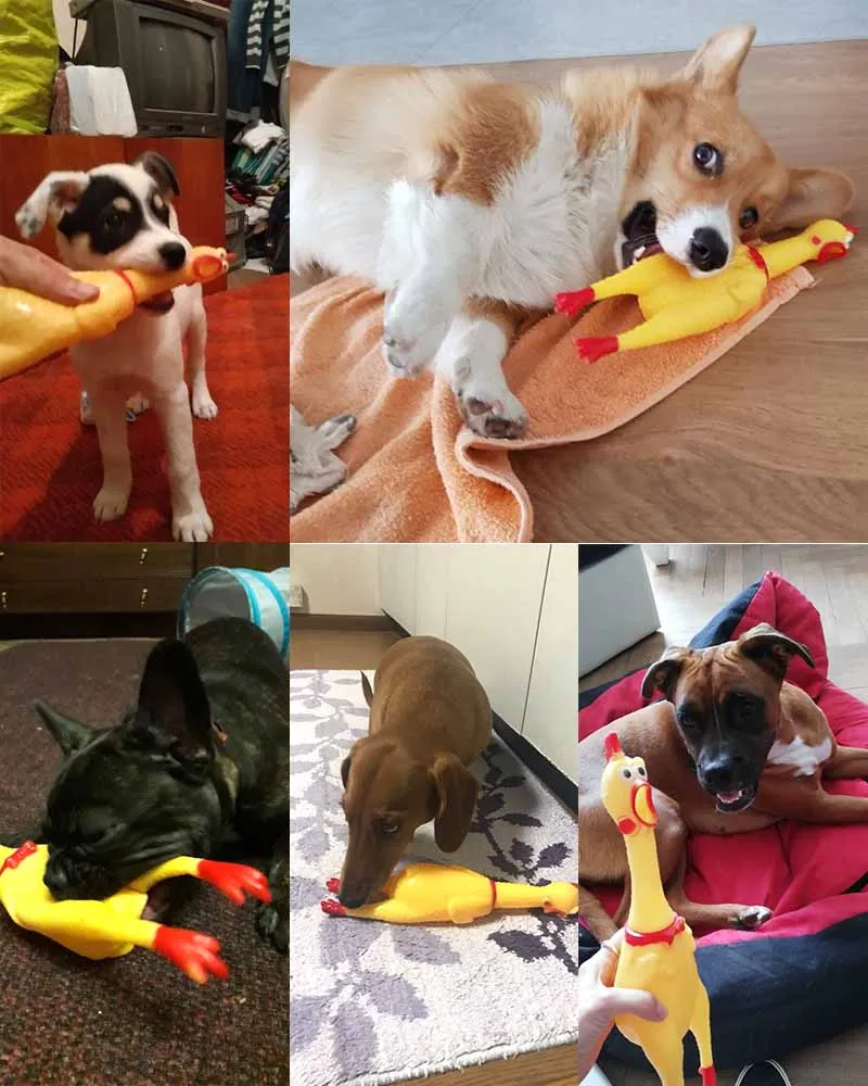 HTB1MR6XaEzrK1RjSspmq6AOdFXaF