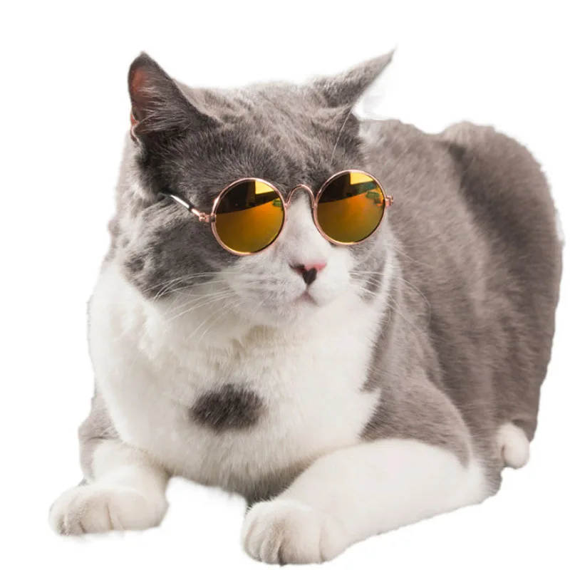 Pet Cat очки собачьи очки товары для домашних животных для маленьких собак кошачий глаз Одежда для собак Солнцезащитные очки реквизит для фотографий аксессуары для животных принадлежности игрушки