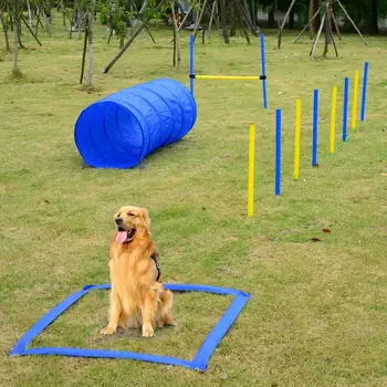 

【USA Warehouse】Dog Obstacle Agility Training Kit – Blue and Yellow