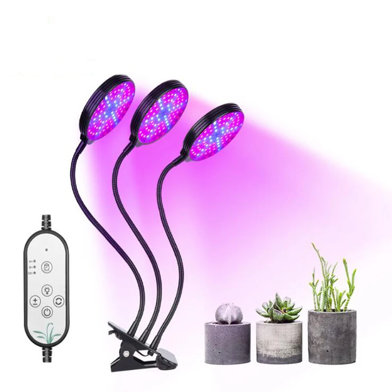 luzes de cultivo