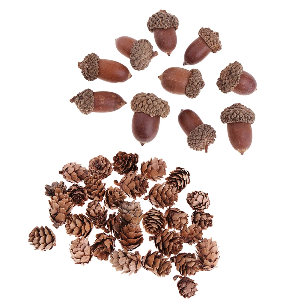 40pcs Natural Dried Pine Cones Acorns Floral Craft DIY Christmas Decoration