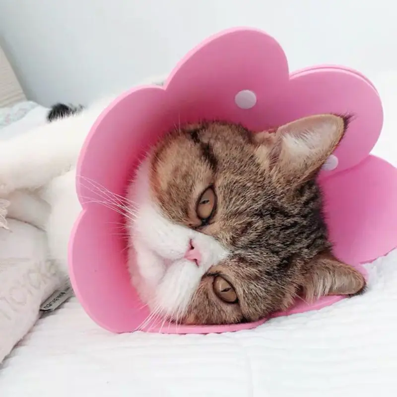 Flower Shaped Cat Recovery Collar Elizabethan Collar Wound Healing Protective Cone for Kitten Puppy
