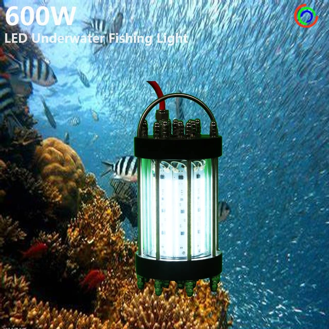 Ac220-240v 600w 30m Cable Green Blue White Deep Sea Led Underwater Fishing  Lights Lure Bait Attracting Squid - Underwater Lights - AliExpress