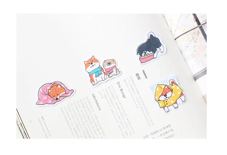 5087030421_577952424