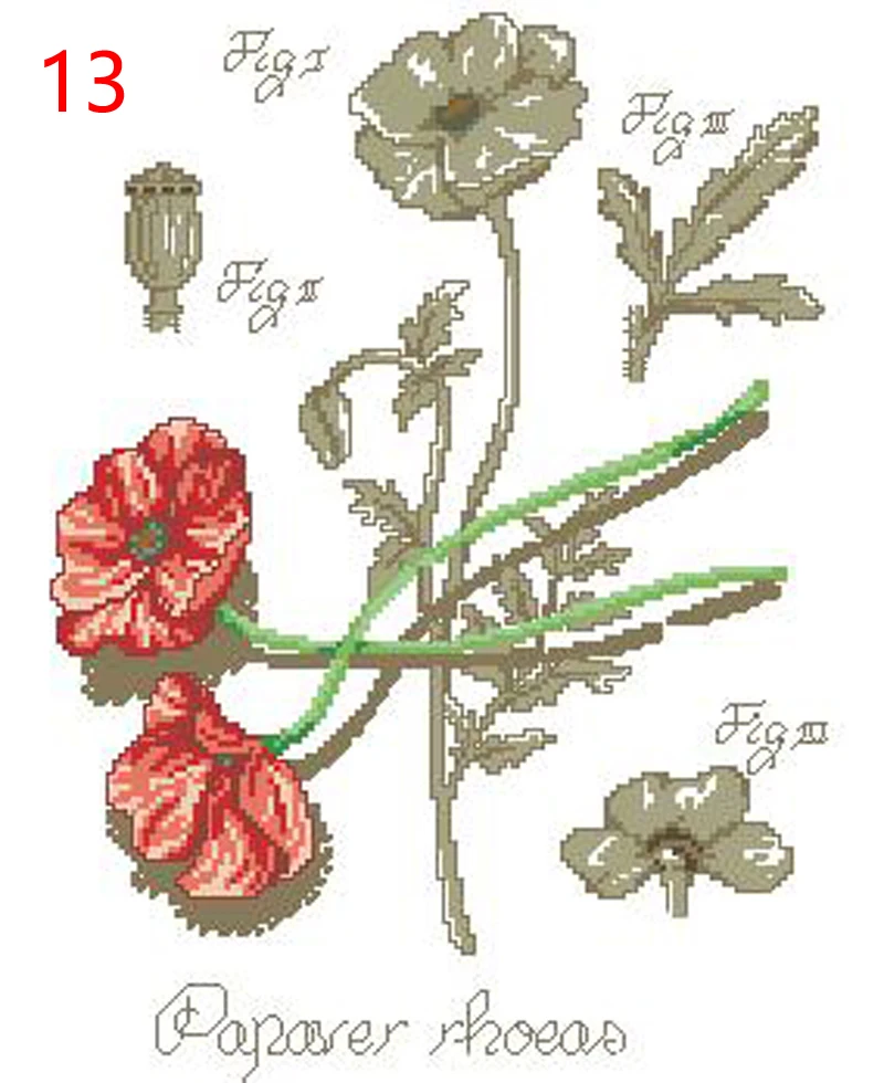 13 DFEA-阴影花系列35罂粟(2)