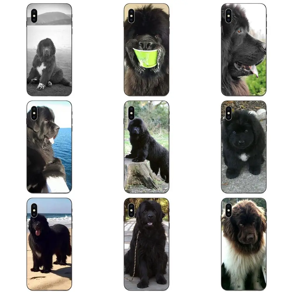 Newfoundland Dog Beautiful Gentle Giant For Xiaomi Mi Mix Max Note 2 2S 3 5X 6 6X 8 9 9T SE A1 A2 A3 CC9e Lite Play Pro F1 | Мобильные
