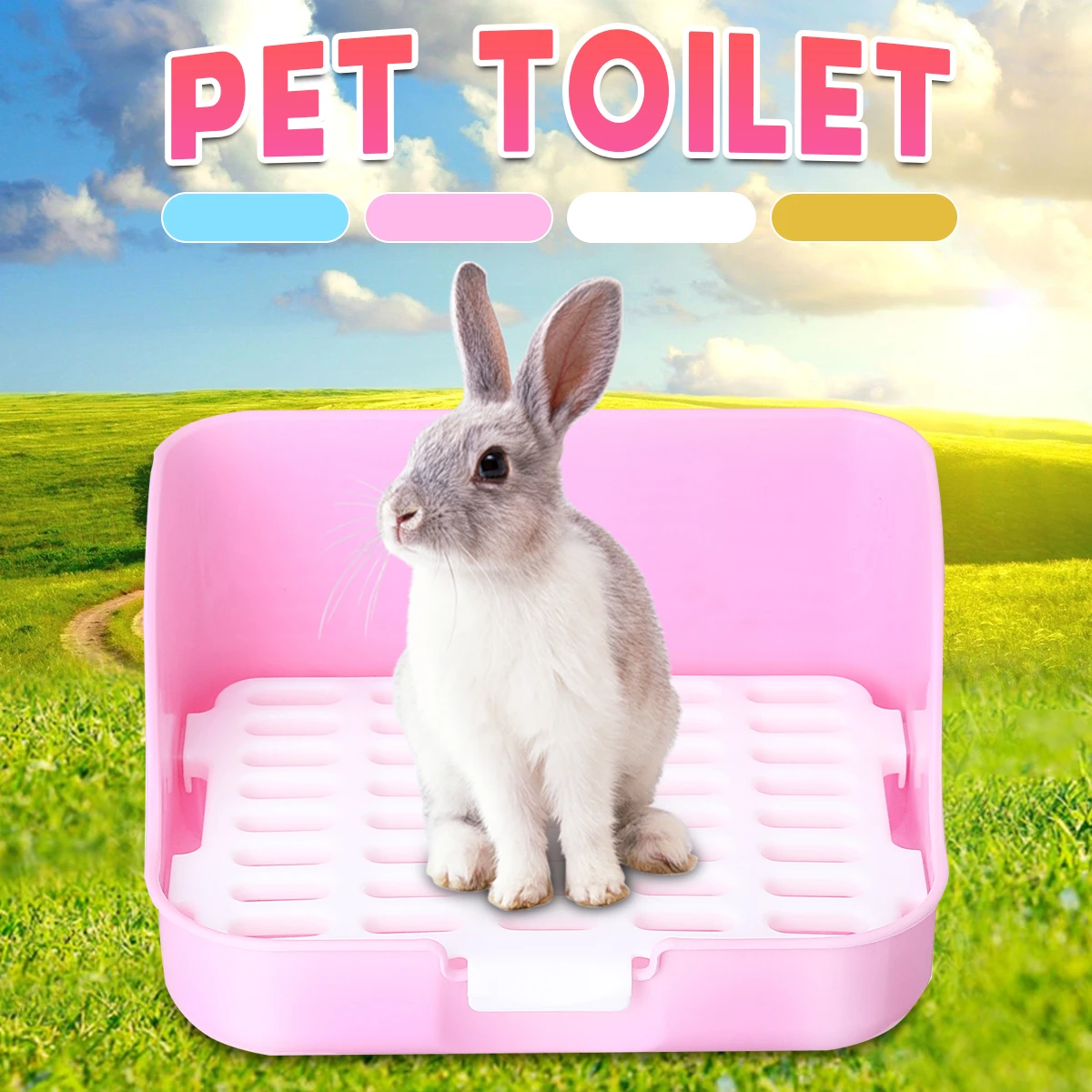 litter box trained dogs for sale