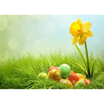 

Colorwonder Yellow Flower Colourful Eggs with White Flowers Background Photo Booth 7x5ft Ploka Dots Easter Day Party Backdrops