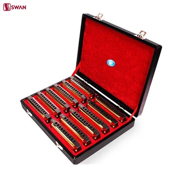 

Swan 10 Hole 20 Tone Harmonica Senior Diatonic Blues Harp A/B/C/D/E/F/G/A#/C#/D#/F#/G# Key Mouth Organ Golden With Gift Box