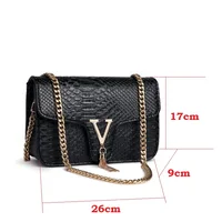 Designer Luxury Tassel Square with Lock Leather Shoulder Bags 4