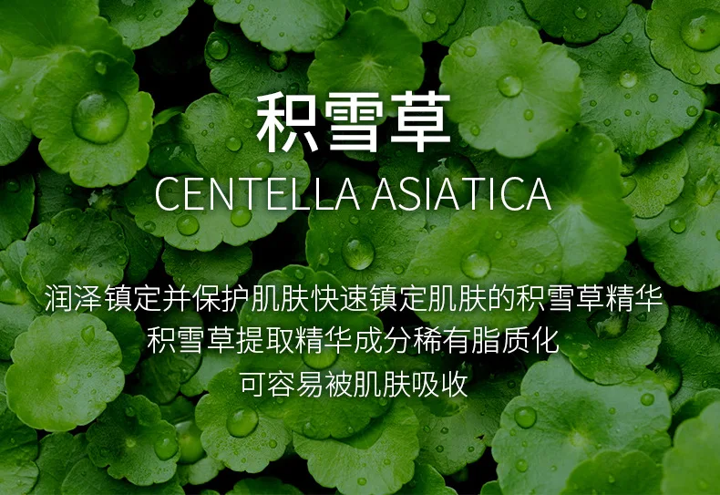 Centella Asiatica Mask Acne Removal Smallpox Diluting Replenish Water Moisten and Shrink Pores Brighten Complexion Bag Wrapped