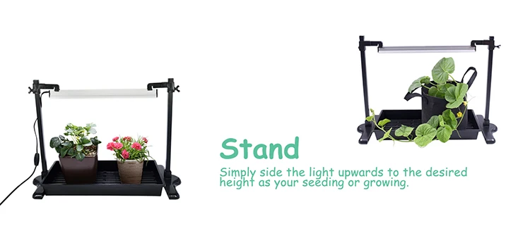 Stand