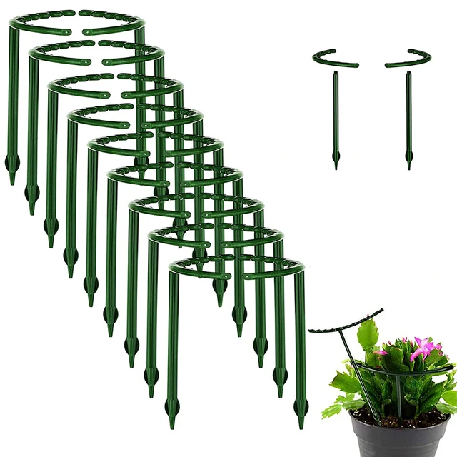 6Db -Os Képes Összeszerelve A Növényi Tartóhalom 2 Méret Egyrétegű Orchidea Állvány Több Húsú Napvirág Tartó Kerti Kiegészítők