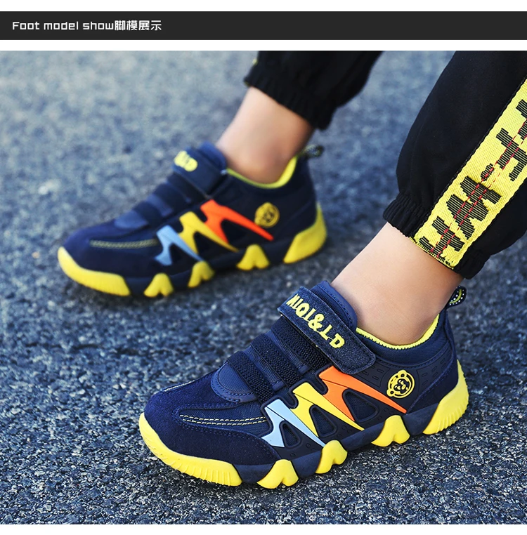未标题-1_12