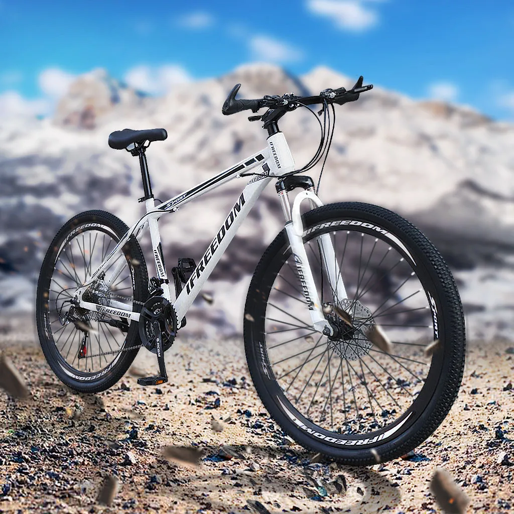 stainless steel mountain bike