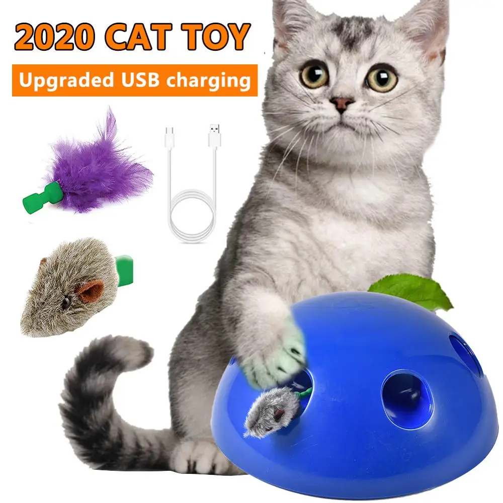 USB blue