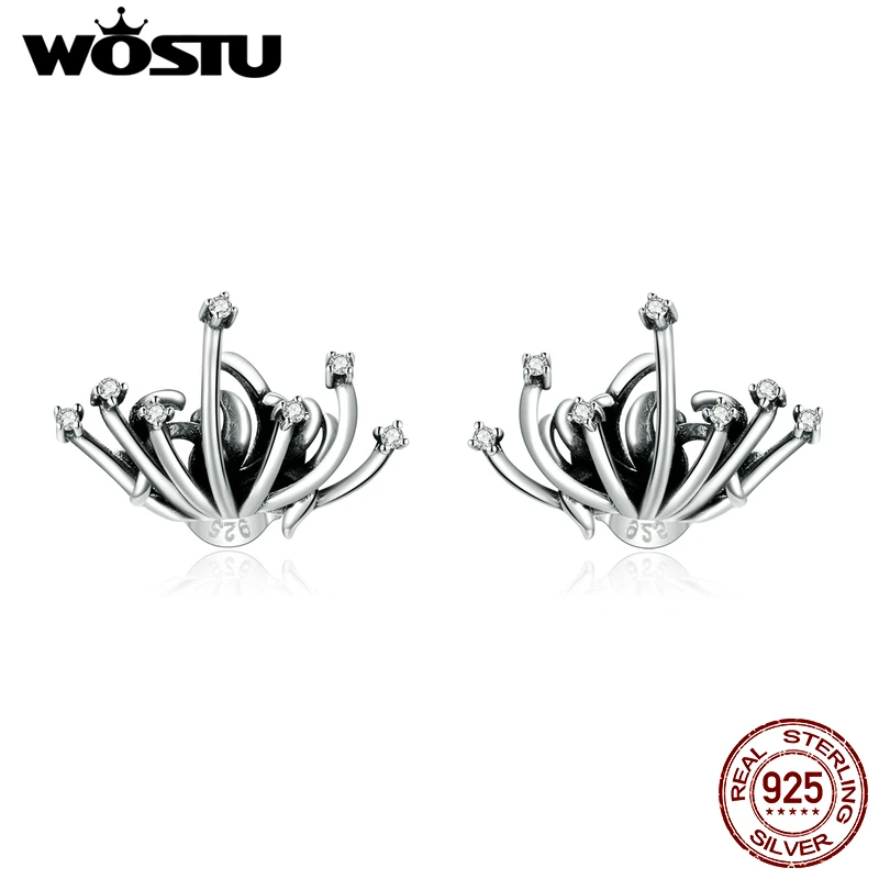 WOSTU 2020 Новое поступление серьги гвоздики из стерлингового серебра 925 пробы с