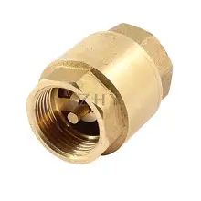 24 мм 3/" PT муфта с внутренней резьбой тон в линии пружинный обратный клапан