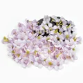 Lightpurple daisy