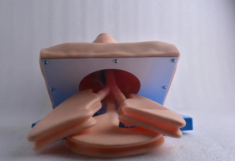 Intubation Manikin Учебная модель Airway управление тренажер ПВХ с зубами