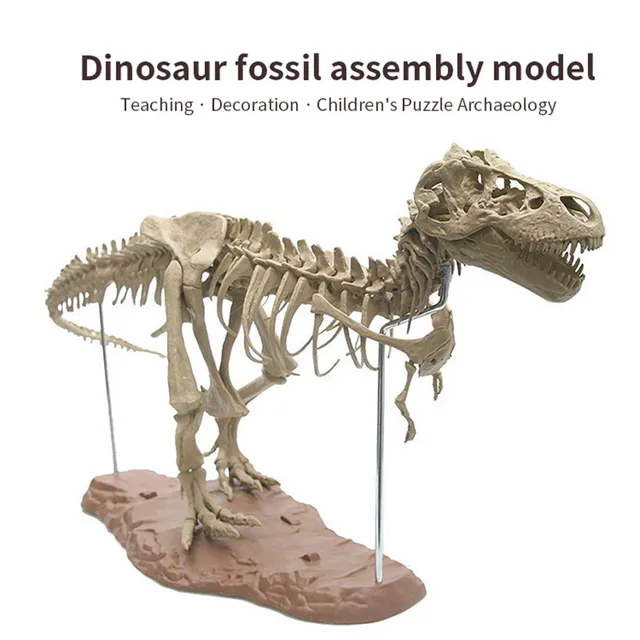 4D Animal Model Toys Simulation Large Dinosaur Fossil Tyrannosaurus Assemble The Skeleton Model Toys Stitching Toys 3