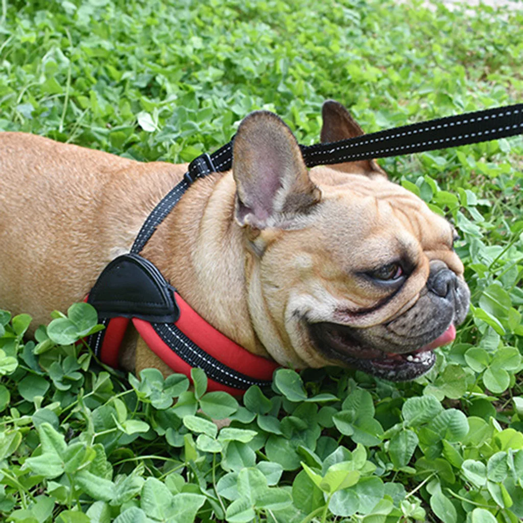 Pet Ночная безопасность Светоотражающая Тяговая веревка поводок с грудным обхватом набор Регулируемый комфортный жилет поводок для собак Мода L814