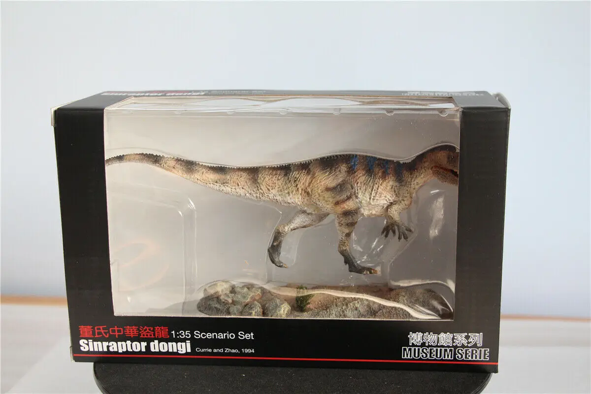 Vitae Jurassic dinosaur modle Sinraptor HOT FIGURE TOYS in stock