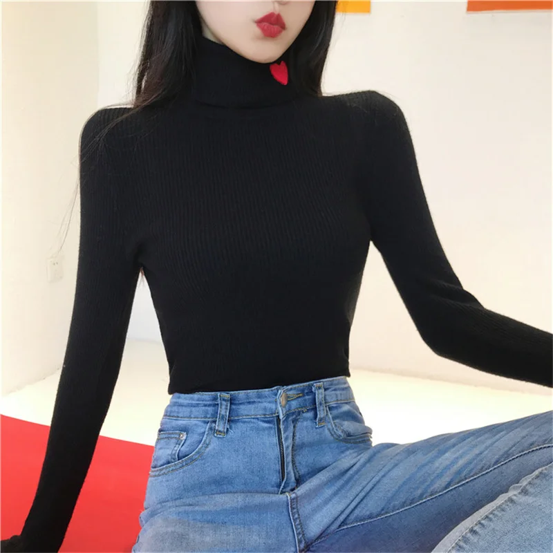 Autumn-Winter-Turtleneck-Sweater-Women-Long-Sleeve-Embroidery-Slim-Elasticity-Knitted-Women-Pullover-Sweater-2019-Ladies-Top (1)