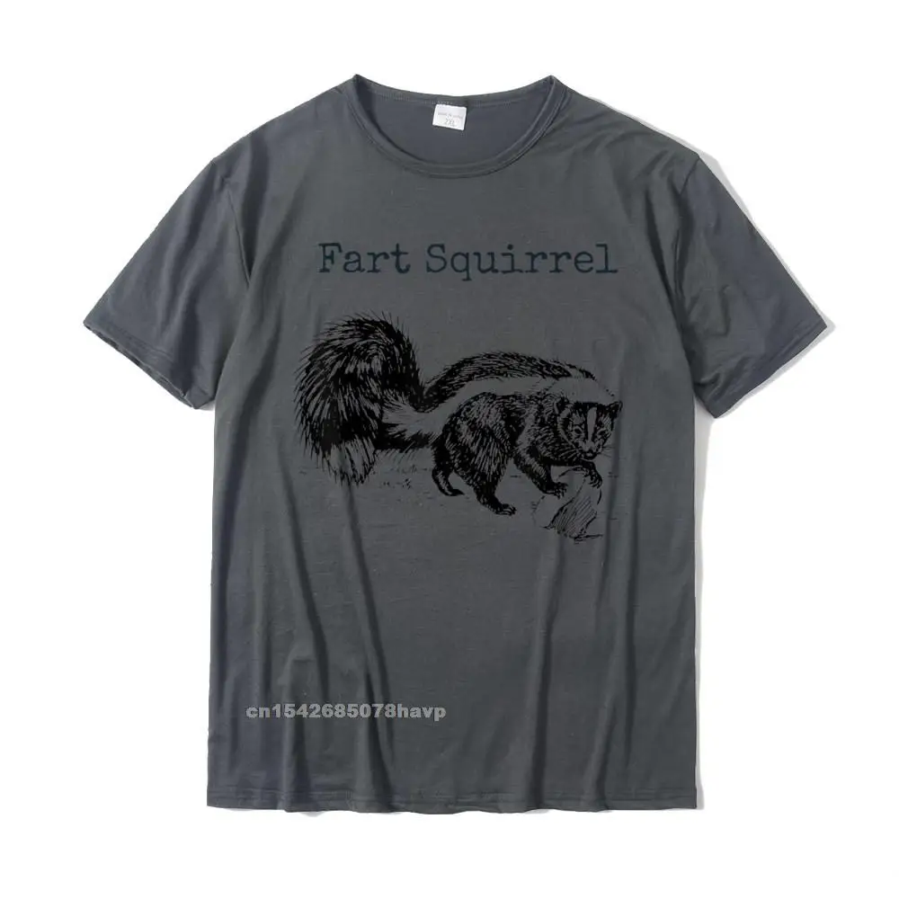 comfortable T Shirts Short Sleeve Leisure Retro Men's NEW YEAR DAY Tops Shirts Leisure Top T-shirts Round Collar 100% Cotton Funny Fart Squirrel Skunk Wrong Animal Name Stupid Gag Joke T-Shirt__71. carbon