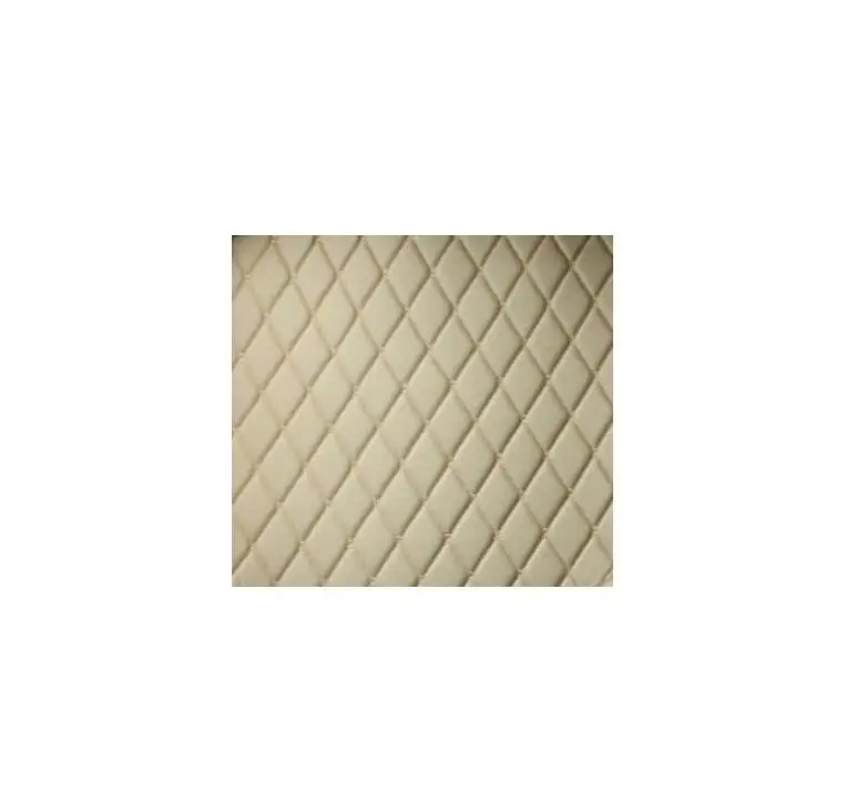 Кожаный коврик для салона автомобиля для citroen c4 aircross 2012 2013 ковер аксессуары наклейка - Название цвета: beige