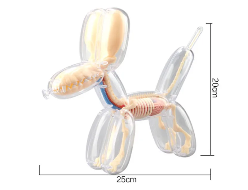 4D конструктор Джейсон Фрей, головоломка, игрушка, воздушный шар, собака, перспектива, кость, анатомия, украшение, собака, медицинское оборудование для обучения