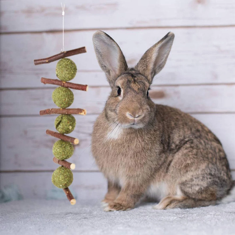 Rabbit Chew Toy Natural Organic Apple Stick Molars Chinchillas Dutch Pig Hamster Chew Interactive Play To 1 Rabbit Chew Toy Natural Organic Apple Stick Molars Chinchillas Dutch Pig Hamster Chew Interactive Play To 5