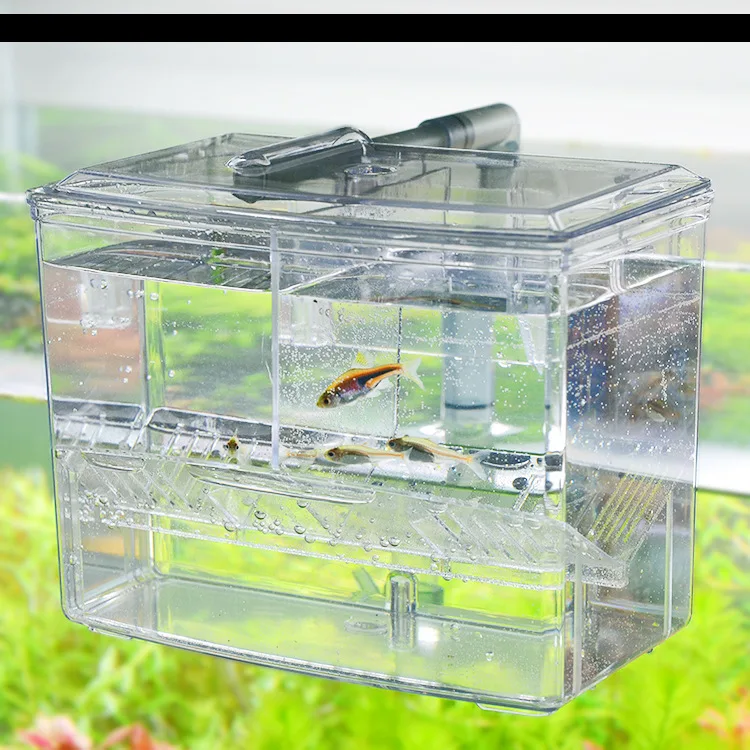 Suspend aquarium guppy baby small fish separation breeding box