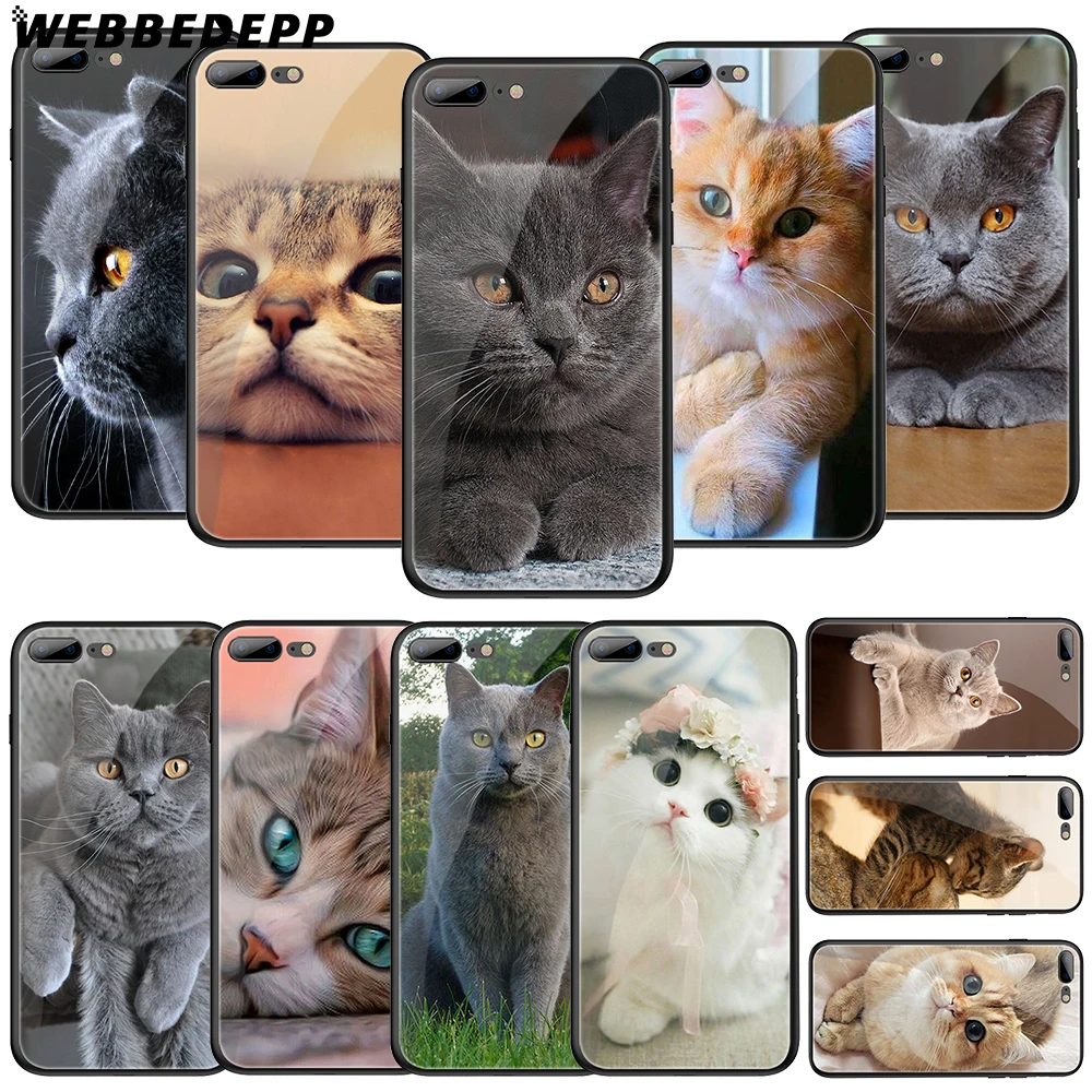 

WEBBEDEPP Cute British Shorthair Cat Tempered Glass Case for Apple iPhone 5 5s 6 6s 7 8 Plus X 5 5S SE XS Max XR Cover