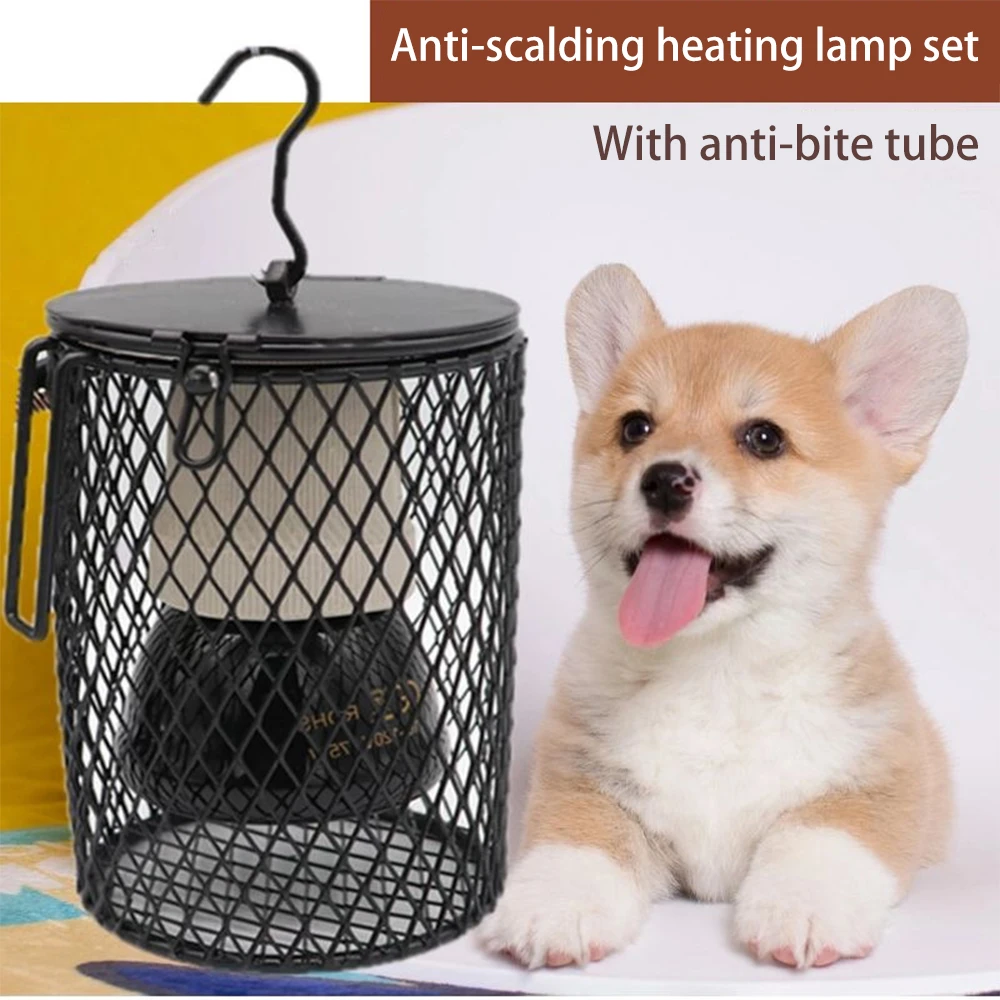 Are Heat Lamps Safe For Dog Houses